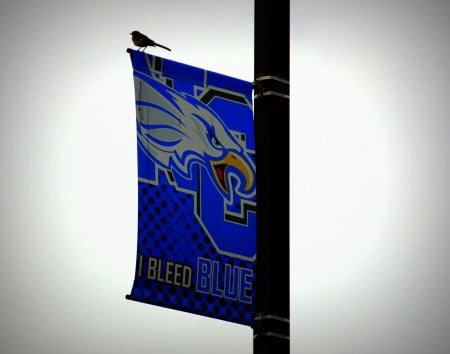 "I Bleed Blue" - New Caney Eagles